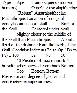 6.10 Lab Exercise